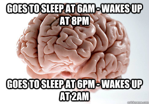 Goes to sleep at 6am - wakes up at 8pm Goes to sleep at 6pm - wakes up at 2am  Scumbag Brain