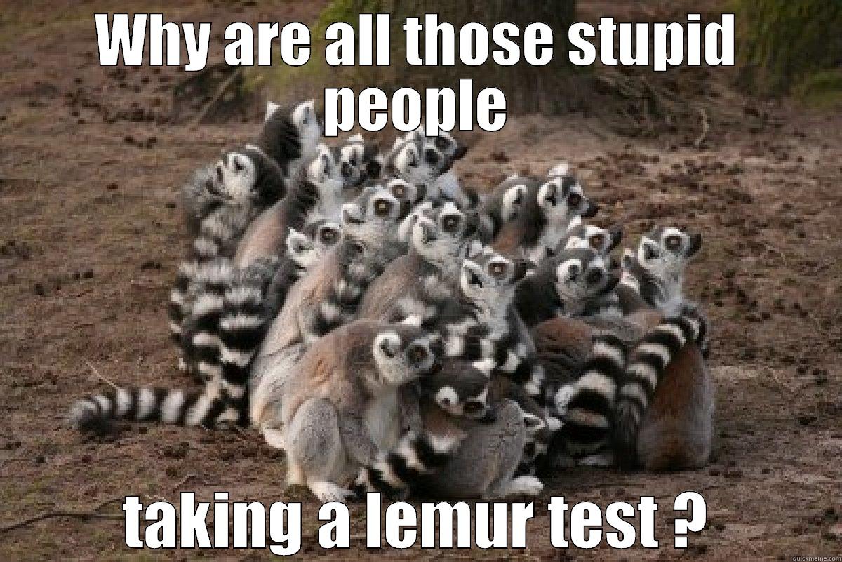 WHY ARE ALL THOSE STUPID PEOPLE TAKING A LEMUR TEST ? Misc