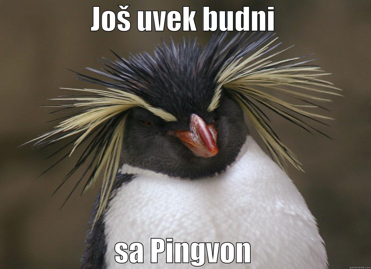 JOŠ UVEK BUDNI SA PINGVON Misc