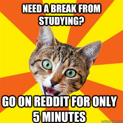 Need a break from studying? Go on reddit for only 5 minutes  Bad Advice Cat