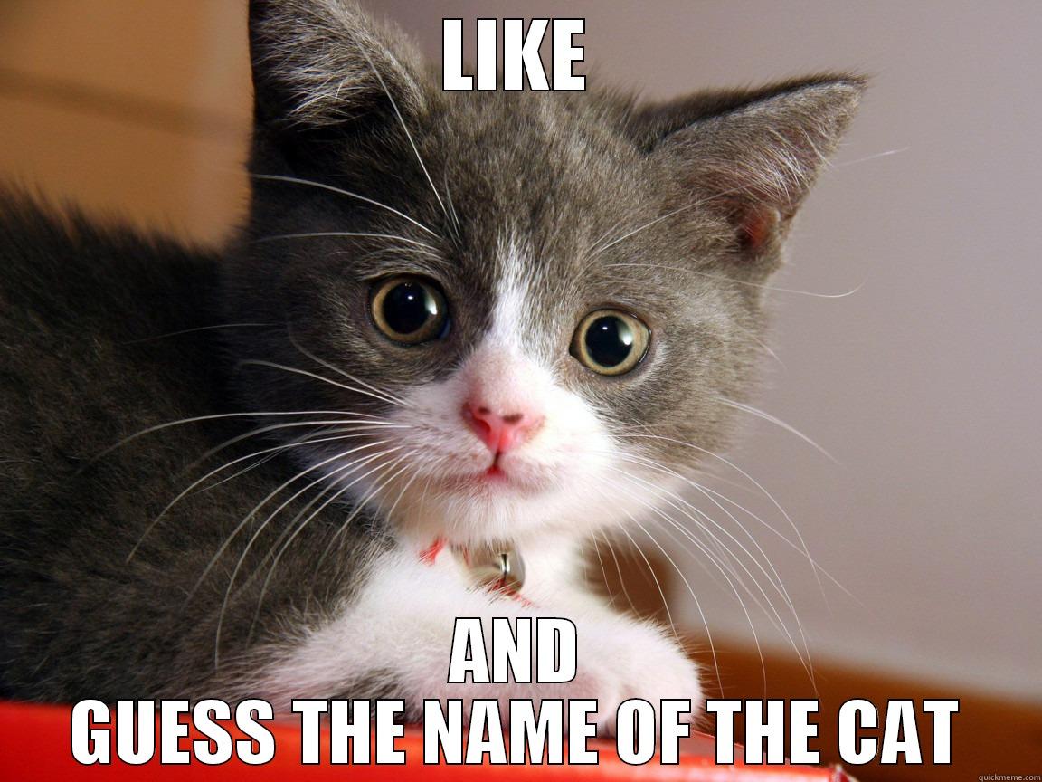 LIKE AND GUESS THE NAME OF THE CAT Misc