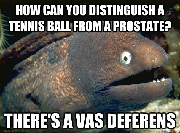 How can you distinguish a tennis ball from a prostate? There's a vas deferens  Bad Joke Eel