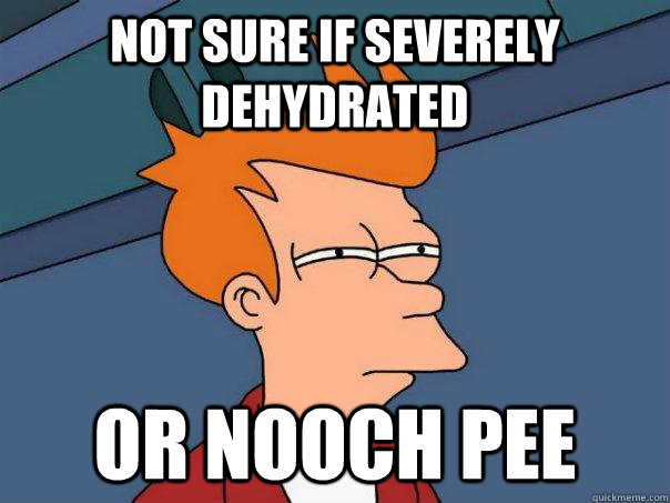 Not sure if severely dehydrated Or nooch pee  Futurama Fry