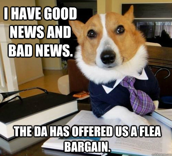 I have good news and bad news. The DA has offered us a flea bargain.  Lawyer Dog