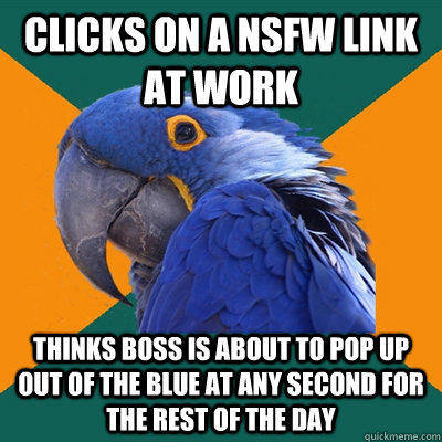 Clicks on a nsfw link at work Thinks boss is about to pop up out of the blue at any second for the rest of the day  Paranoid Parrot