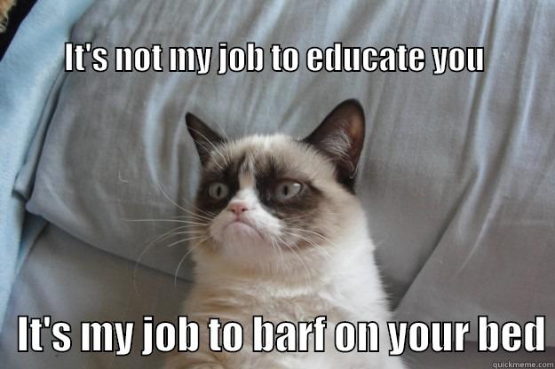                                                                                    IT'S NOT MY JOB TO EDUCATE YOU    IT'S MY JOB TO BARF ON YOUR BED Grumpy Cat