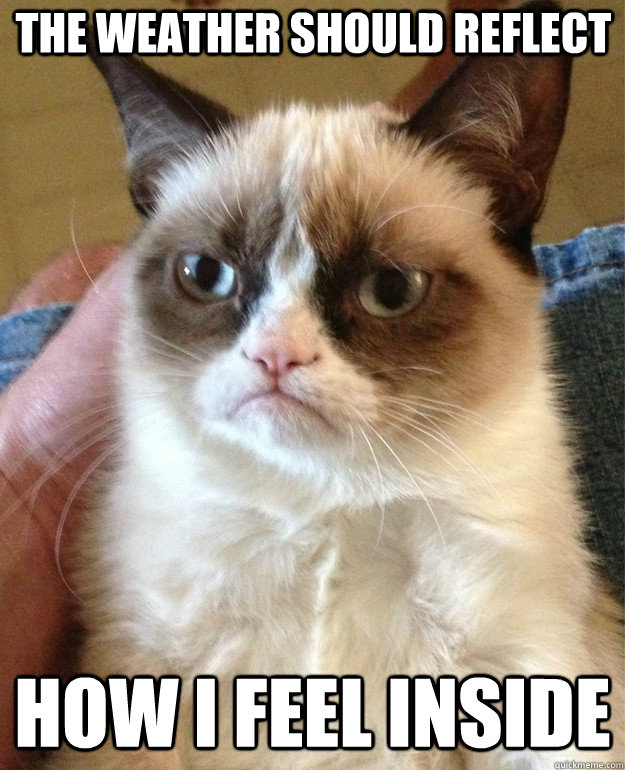 The weather should reflect how I feel inside  Grumpy Cat