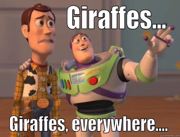             GIRAFFES... GIRAFFES, EVERYWHERE.... Toy Story