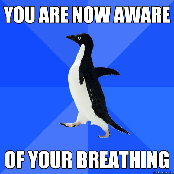 you are now aware of your breathing - you are now aware of your breathing  Socially Awkward Penguin