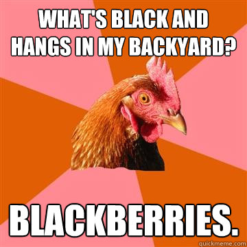 What's black and hangs in my backyard? Blackberries.  Anti-Joke Chicken