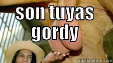 aqui tienes las guaretas - SON TUYAS GORDY  Misc