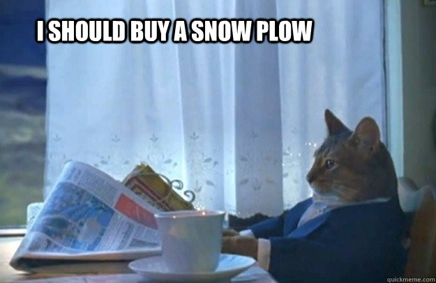 i should buy a snow plow  Sophisticated Cat