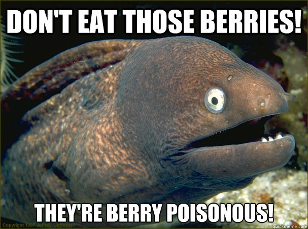 Don't eat those berries! They're berry poisonous!  Bad Joke Eel