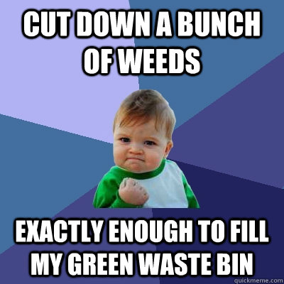 Cut down a bunch of weeds Exactly enough to fill my green waste bin  Success Kid