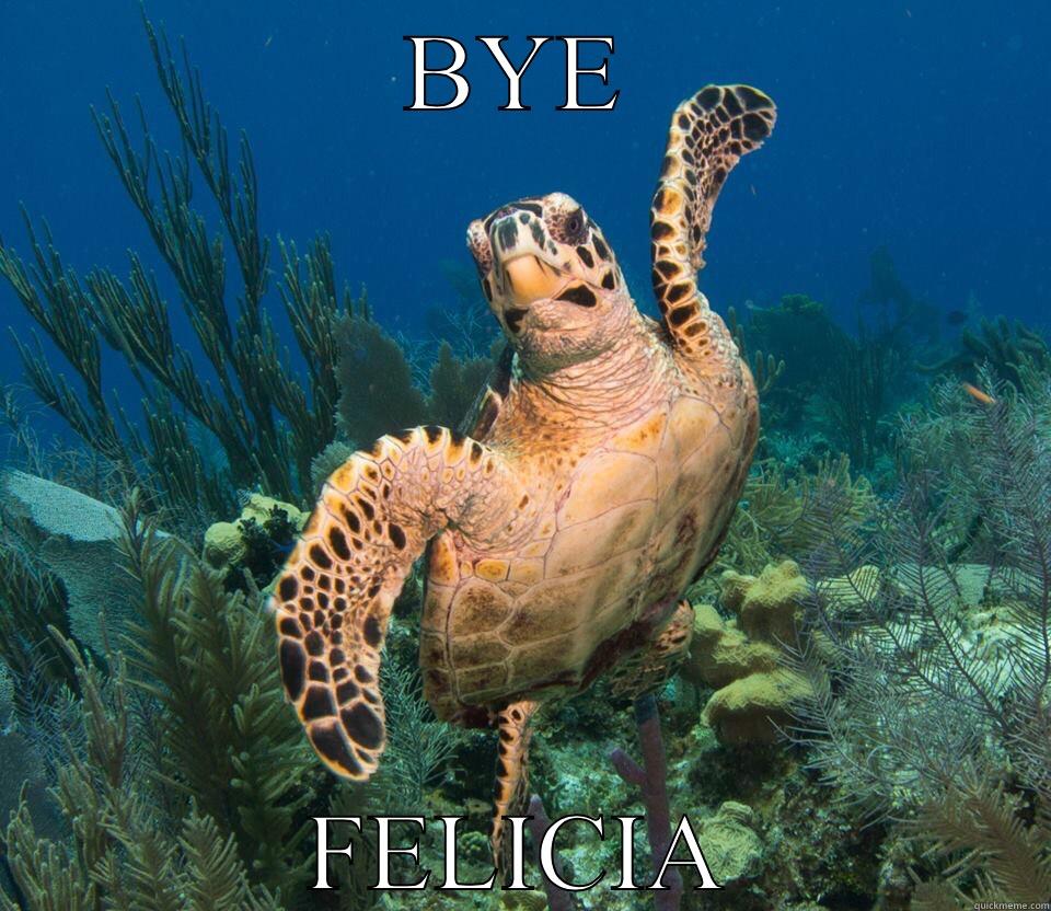 Flamboyant turtle - BYE FELICIA Misc