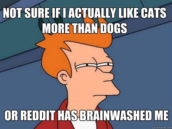 Not sure if I actually like cats more than dogs Or Reddit has brainwashed me - Not sure if I actually like cats more than dogs Or Reddit has brainwashed me  Futurama Fry