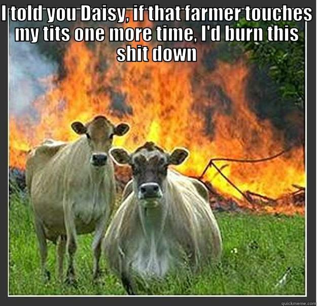 I TOLD YOU DAISY, IF THAT FARMER TOUCHES MY TITS ONE MORE TIME, I'D BURN THIS SHIT DOWN  Evil cows