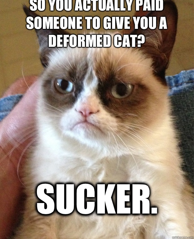 So you actually paid someone to give you a deformed cat? Sucker.   Grumpy Cat