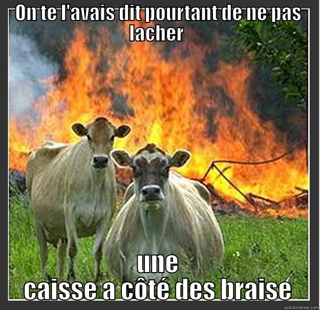 suck my dick - ON TE L'AVAIS DIT POURTANT DE NE PAS LACHER  UNE CAISSE A CÔTÉ DES BRAISE Evil cows