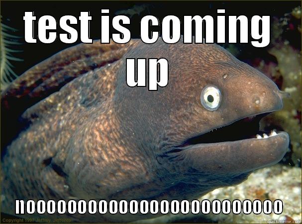 TEST IS COMING UP NOOOOOOOOOOOOOOOOOOOOOOOOO Bad Joke Eel