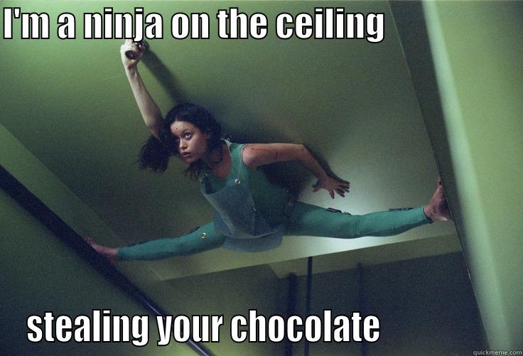 I'M A NINJA ON THE CEILING                     STEALING YOUR CHOCOLATE                  Misc