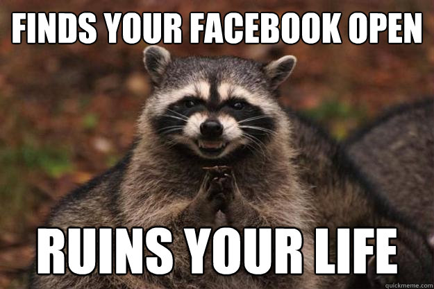 Finds your facebook open Ruins your life  Evil Plotting Raccoon