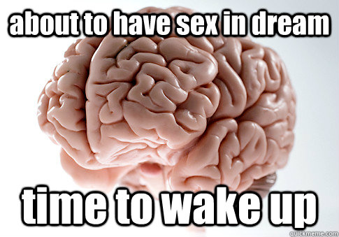 about to have sex in dream time to wake up  Scumbag Brain