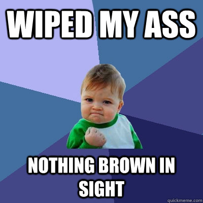 wiped my ass nothing brown in sight  Success Kid