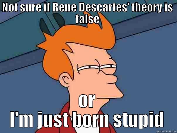 NOT SURE IF RENE DESCARTES' THEORY IS FALSE OR I'M JUST BORN STUPID Futurama Fry