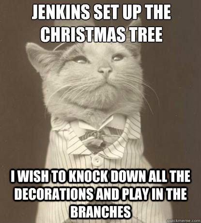 Jenkins set up the Christmas tree I wish to knock down all the decorations and play in the branches   Aristocat