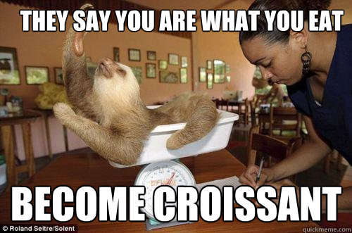 they say you are what you eat become croissant - they say you are what you eat become croissant  Dramatic Sloth