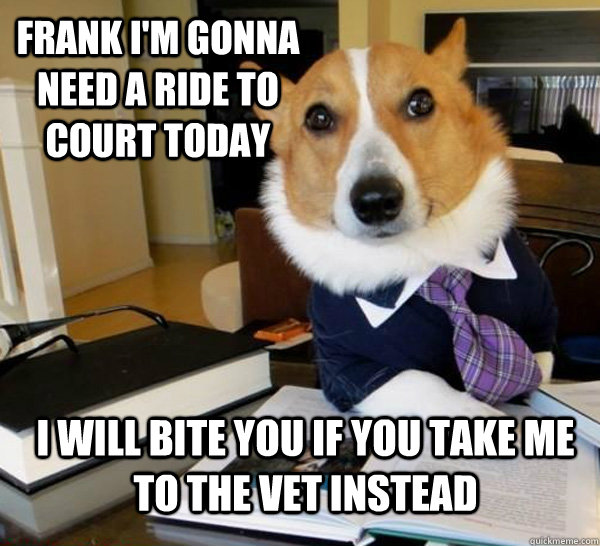 frank i'm gonna need a ride to court today i will bite you if you take me to the vet instead  Lawyer Dog