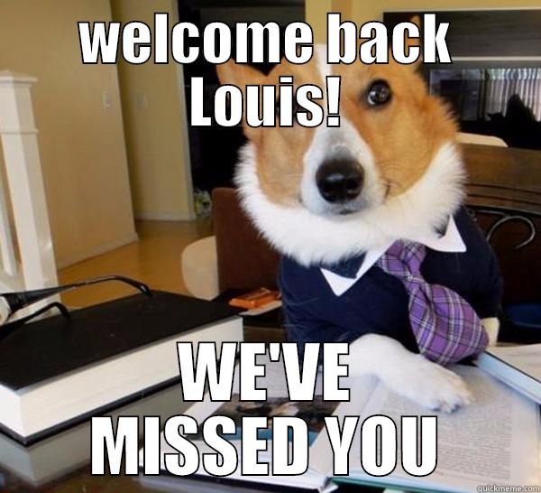 welcome back Louis - WELCOME BACK LOUIS! WE'VE MISSED YOU Lawyer Dog