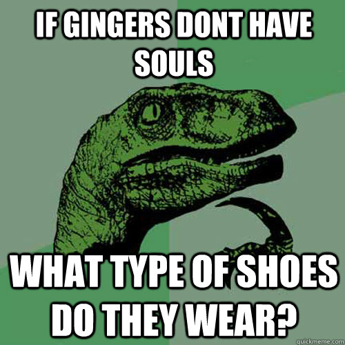 If gingers dont have souls What type of shoes do they wear?  Philosoraptor