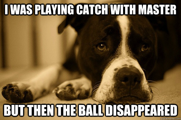 I was playing catch with master but then the ball disappeared  