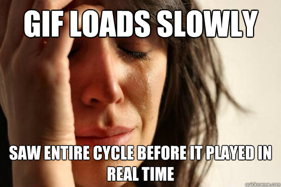 gif loads slowly saw entire cycle before it played in real time - gif loads slowly saw entire cycle before it played in real time  First World Problems