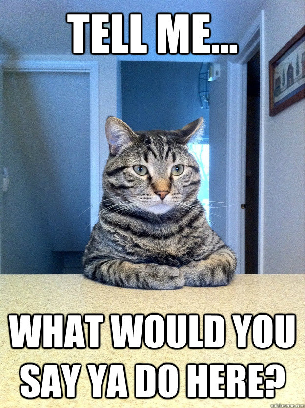 Tell me... What would you say ya do here?  Chris Hansen Cat