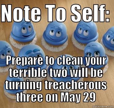 Note to self - NOTE TO SELF:  PREPARE TO CLEAN YOUR TERRIBLE TWO WILL BE TURNING TREACHEROUS THREE ON MAY 29 Misc