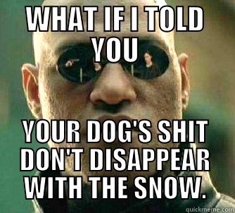 WHAT IF I TOLD YOU YOUR DOG'S SHIT DON'T DISAPPEAR WITH THE SNOW. Matrix Morpheus