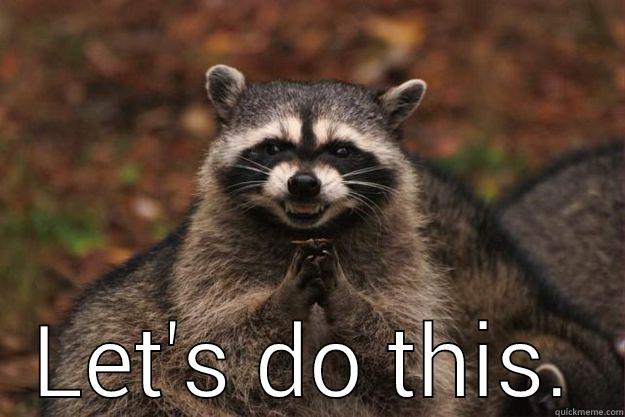 Time for trouble. -  LET'S DO THIS. Evil Plotting Raccoon