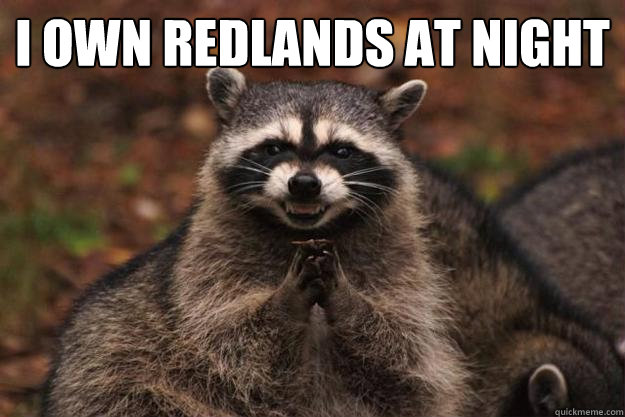 I own Redlands at Night  Evil Plotting Raccoon