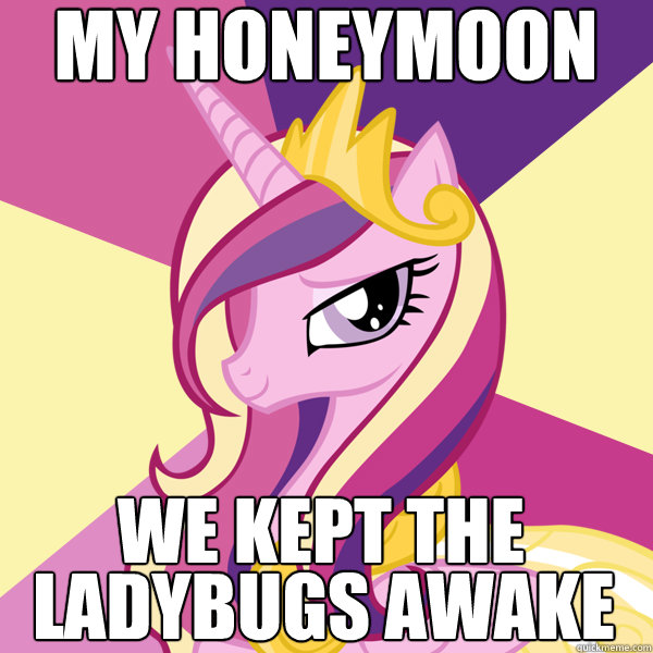 MY HONEYMOON WE KEPT THE LADYBUGS AWAKE  Advice Pony Cadence