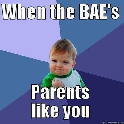 BAEs Parents - WHEN THE BAE'S  PARENTS LIKE YOU Success Kid