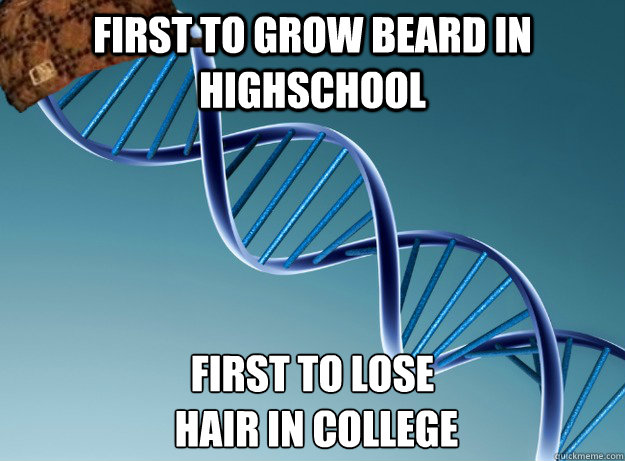 first to grow beard in highschool first to lose
 hair in college  Scumbag Genetics