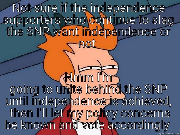 NOT SURE IF THE INDEPENDENCE SUPPORTERS WHO CONTINUE TO SLAG THE SNP WANT INDEPENDENCE OR NOT  HMM I'M GOING TO UNITE BEHIND THE SNP UNTIL INDEPENDENCE IS ACHIEVED,  THEN I'LL LET MY POLICY CONCERNS BE KNOWN AND VOTE ACCORDINGLY  Futurama Fry