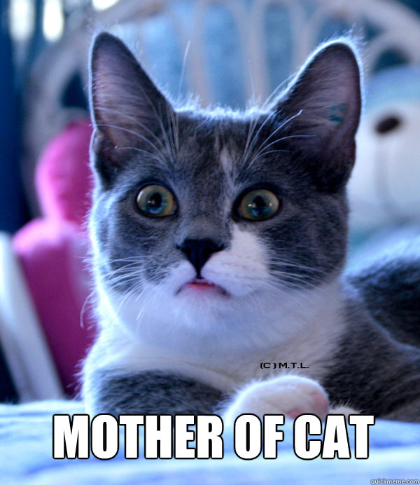 Mother of Cat - Mother of Cat  Mother of Cat God