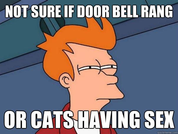 Not sure if door bell rang or cats having sex - Not sure if door bell rang or cats having sex  Futurama Fry