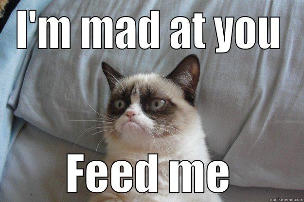 I'M MAD AT YOU FEED ME Grumpy Cat