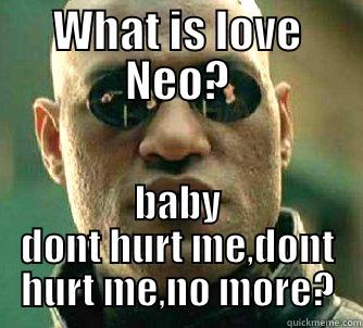 WHAT IS LOVE NEO? BABY DONT HURT ME,DONT HURT ME,NO MORE? Matrix Morpheus