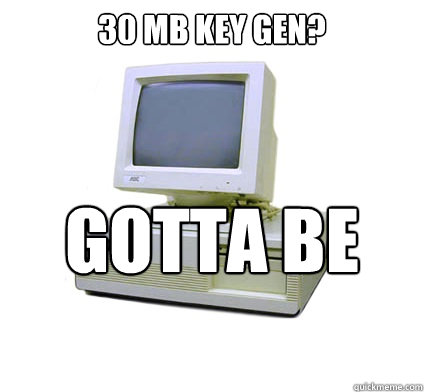 30 MB Key Gen? Gotta be legit  Your First Computer